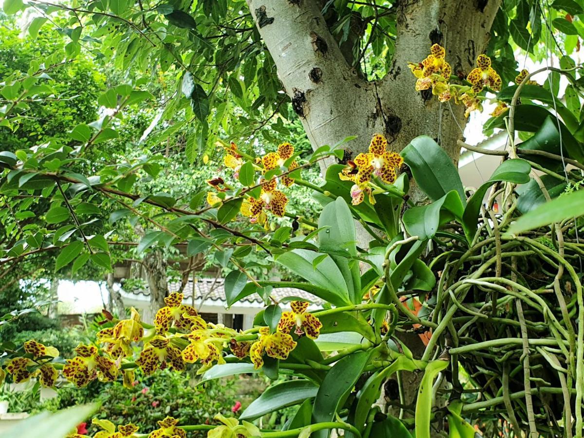 Villa Dieu Thong - Secrect Garden, View San May Va Nui Đà Lạt Exterior foto